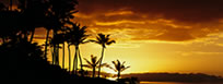 Hawaiian cruise packages in Maui